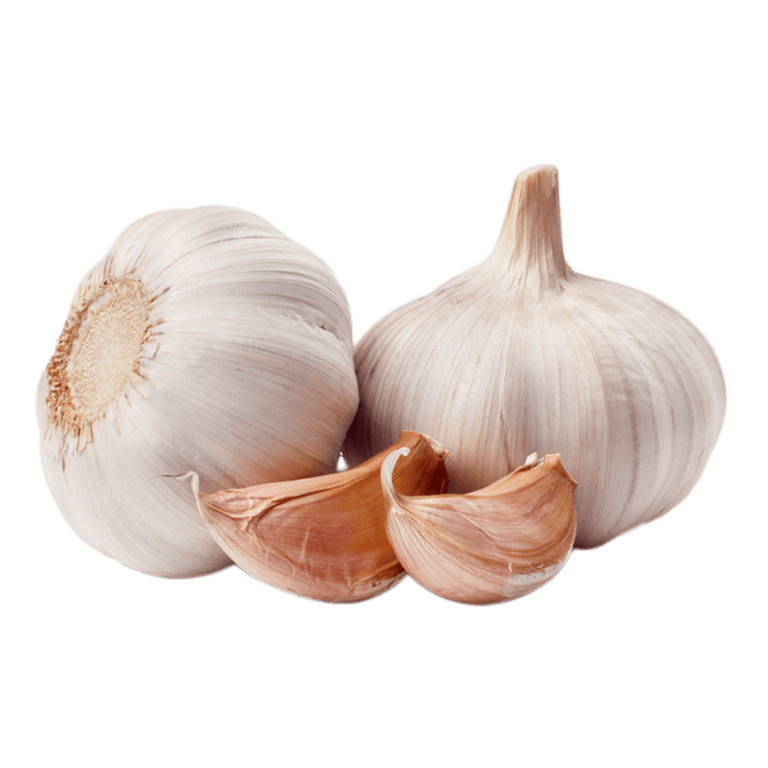 Aglio La Bariba Aglio La Bariba